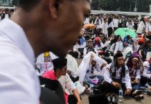 438 Ribu Tenaga Honorer K2 Berhak Ikuti Penerimaan CPNS 2018