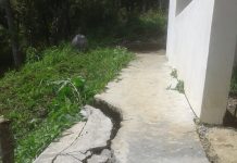 Akibat Proyek Dinas Kilang Siluman? PULUHAN HEKTAR TEBU PETANI RUGI BESAR.