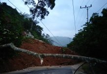 Breaking New!! Diguyur Hujan, Jalan Muara Emat Kerinci Menuju Merangin Longsor, Lalulintas Lumpuh Total