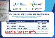 Petani Tercekik, Pupuk Subsidi Dijual Mahal Kios, Aparat Diminta Bertindak