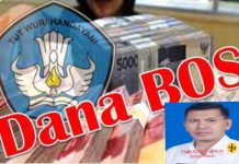 Parah!! Sudah Dipusaran Kisruh Kelulusan P3K, Kadis Pendidikan Kota Sungai Penuh Terendus Penyunatan Dana BOS