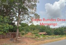 BUMDes Dikelola Tidak Profesional, Ratusan Juta Dana Bumdes Mensango Raib