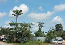 Gudang BBM Samping SPBU di Pertamina Tabir Lintas Merangin Ajang Bongkar Muat Pelangsir Minyak