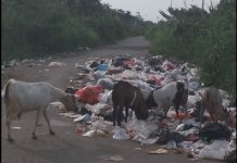 Jorok!! Sampah Menjamur di Ruas Jalan Inpres Pasar Rakyat Sabak Timur