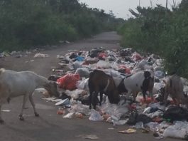 Jorok!! Sampah Menjamur di Ruas Jalan Inpres Pasar Rakyat Sabak Timur