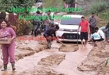 Lalulintas Macet, Jalan Siulak Deras Link Sungai Batu Gantih Kubangan Kerbau, Pemkab Kerinci Tutup Mata