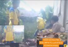 Viral!! Kasus Aksi Bullying Sekelompok Pelajar MTSN 2 Pessel, Korban Dipukuli dan Diinjak