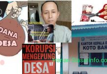 Kades Terkesan Kontraktor di Desa Sendiri, Aliran Uang DD Koto Baru Harus Diaudit Inspektorat, Eri Mardison Disorot Cari Kekayaan