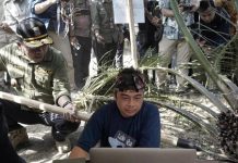 Musri Nauli : Pembukaan Lahan Tanpa Membakar