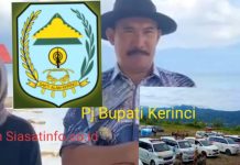 PJ Bupati Kerinci Mulai Garang! Mobil Dinas Harus Pasang Logo Pemkab, Sat Pol PP Diminta Bertindak
