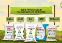 Dugaan Penyelewengan Pupuk Subsidi Terus Diusut Pihak Kejaksaan Negeri Batanghari