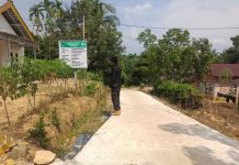 Proyek DD Terentang Baru Mantan Kades Harus Rugi, Silva DD Menuai Pertanyaan