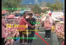 Fatal!! Insiden Supir Cawabup Diusir Kasar, HTK-EZI Bakal Terancam di 3 Kecamatan Kayu Aro Nihil Perolehan Suara