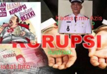 Ratusan Juta DD Pauh Tinggi Sarat Korupsi, Warga Minta Kades Emri Azis Diperiksa