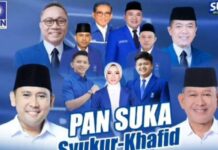 Arah Politik Tak Sejalan, DPD Partai PAN Laporkan RH Anggota Dewan Dapil II ke DPW Provinsi Jambi