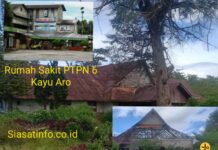 Miris! Pasca Dua Periode Adirozal Bupati Kerinci, Rumah Sakit PTPN 6 Kayu Aro Hancur Lebur