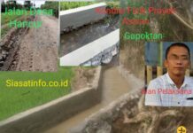 Sarat Korupsi, Ratusan Juta Proyek Gapoktan Semurup Oleh Dinas TPHP Provinsi Jambi Dikerjakan Asalan, Kades Minta PPK Evaluasi Fisik Proyek