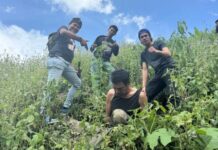 Sempat Mau Kabur, Pria di Sungai Penuh Pemilik Lahan Ganja Ditangkap Polisi