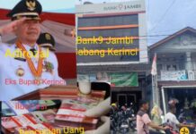 Dibalik Pusaran Rp 5,8 M Dugaan Pencucian Uang Eks Bupati Kerinci, Polda Jambi Mulai Usut