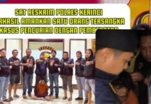 Pelaku Pencuri Kulit Manis di Semerap Domisili Siulak Gedang Dibekuk Polres Kerinci