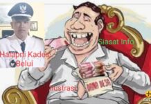 Dugaan SPJ Fiktif Berencana, Kades Belui Leluasa Gerogoti Uang Desa, APH Diminta Turun Tangan!