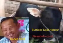 Gawat!! Raib Ratusan Juta Dana Bumdes, Warga SKM Minta Kades Diperiksa Inspektorat Kerinci