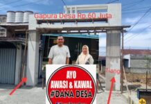 Janggal! Habiskan DD Rp.60 Juta, 2 Tiang Gapura Pincang, Kades Demong Sakti Tuai Buah Bibir Warga