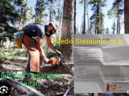 Hutan Desa Jelutih Dijarah, 3 Oknum Diduga Terlibat Berkedok Keamanan Terima Upeti