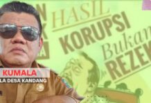 Rp 3 M Lebih DD Dikelola Kades Kandang Merangin, Proyek Dimonopoli, TPK Bak Boneka