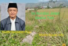 Disorot, Rp184 Juta Nilai Jalan Usaha Tani Hamparan Pugu Semurup Mangkrak, Petani Sawah Gerah