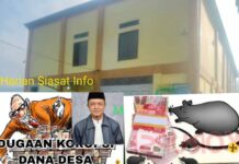 Terbongkar Dugaan Korupsi Ratusan Juta DD Hamparan Pugu Kerinci Digerogoti Kades