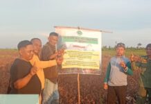 KPHP Tanjab Timur Gencarkan Patroli dan Sosialisasi Cegah Karhutla di Musim Kemarau