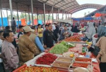 Blusukan Pasar Hiang, Wabup Murison Subsidi Cabai Merah untuk Tekan Inflasi Daerah