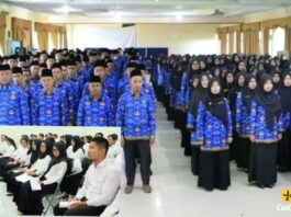 Walau PPPK Paruh Waktu, Gaji dan 4 Tunjangan Tak Dapat Diremehin, Ini Infonya