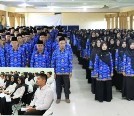 Walau PPPK Paruh Waktu, Gaji dan 4 Tunjangan Tak Dapat Diremehin, Ini Infonya