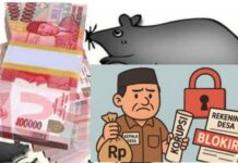 Beli Aset Sunat Uang Desa, Giliran Diperiksa Inspektorat Kerinci, Bini Kades Eh Nyerocos