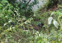 Satu Mobil Masuk Jurang di Muara Emat, 1 Selamat, 2 Penumpang Belum Ditemukan