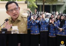 Sistem ASN Bekerja Dari Rumah Mulai Berlaku, Ini Pengecualiannya Tidak Boleh WFH