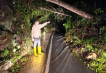 Longsor dan Pohon Tumbang Jalur Sungai Penuh–Tapan, Akses Truk Terhambat, ini Himbauan Polres Kerinci