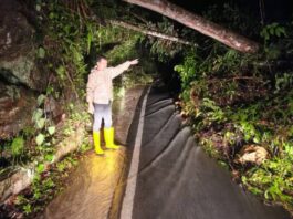 Longsor dan Pohon Tumbang Jalur Sungai Penuh–Tapan, Akses Truk Terhambat, ini Himbauan Polres Kerinci