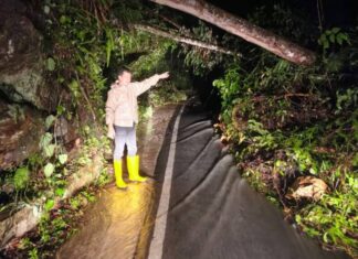 Longsor dan Pohon Tumbang Jalur Sungai Penuh–Tapan, Akses Truk Terhambat, ini Himbauan Polres Kerinci