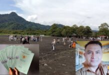 Belum Usai Pungli Sertifikat,Terungkap Tanah Kas Desa Dikuasi Kades Herman
