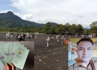 Belum Usai Pungli Sertifikat,Terungkap Tanah Kas Desa Dikuasi Kades Herman