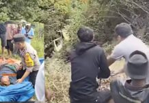 Terjun Kejurang Sedalam 30 Meter Jalur Puncak-Tapan, Sopir Dump Truck Selamat