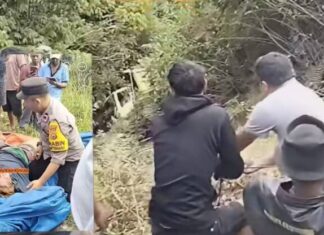 Terjun Kejurang Sedalam 30 Meter Jalur Puncak-Tapan, Sopir Dump Truck Selamat