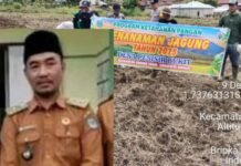 Ratusan Juta Biaya Ketahanan Pangan Kecamatan Gunung Tujuh Sarang SPJ Korupsi Kades