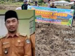 Ratusan Juta Biaya Ketahanan Pangan Kecamatan Gunung Tujuh Sarang SPJ Korupsi Kades