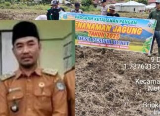 Ratusan Juta Biaya Ketahanan Pangan Kecamatan Gunung Tujuh Sarang SPJ Korupsi Kades