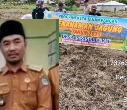 Ratusan Juta Biaya Ketahanan Pangan Kecamatan Gunung Tujuh Sarang SPJ Korupsi Kades
