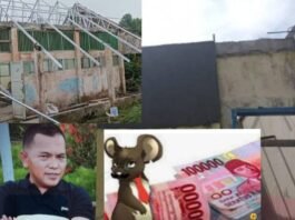 Aneh!! Kepsek Sembunyikan Gambar Kerja, Pekerja Proyek Miliaran SMPN 25 Kerinci Linglung